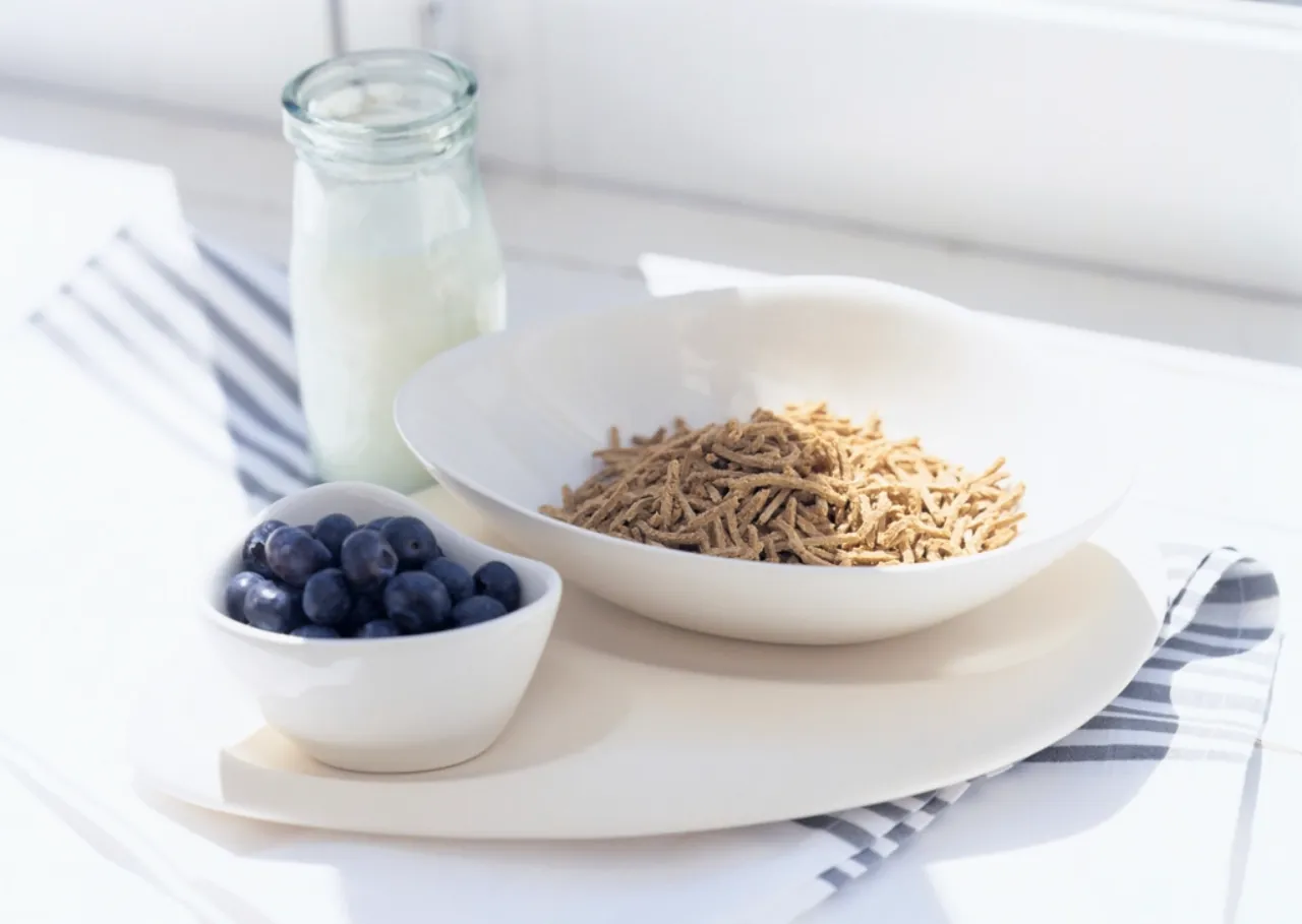 Cuenco de copos de avena y semillas para la merienda