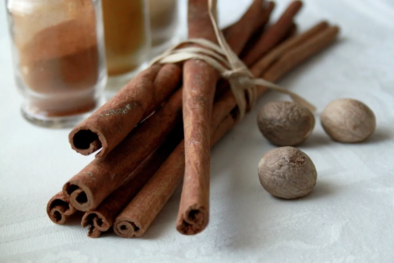Canela en rama y especias que sustituyen al azúcar añadido